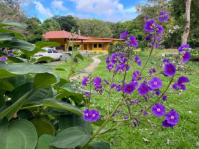 El Valle Resort & Spa - Aguas Termales